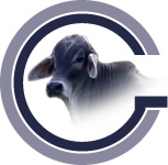 ControlGanadero.com